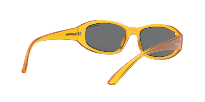 Arnette Lizard Sunglasses AN4266 265587