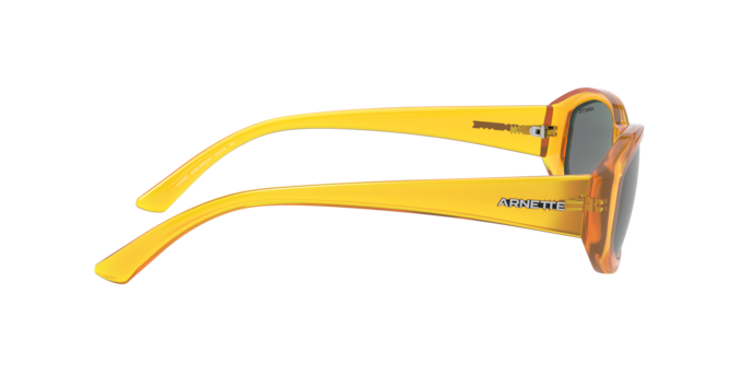 Arnette Lizard Sunglasses AN4266 265587