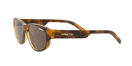 Arnette Daemon Sunglasses AN4269 267573