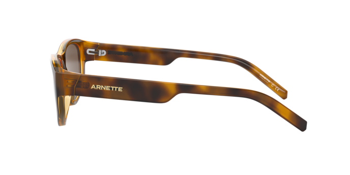 Arnette Daemon Sunglasses AN4269 267573