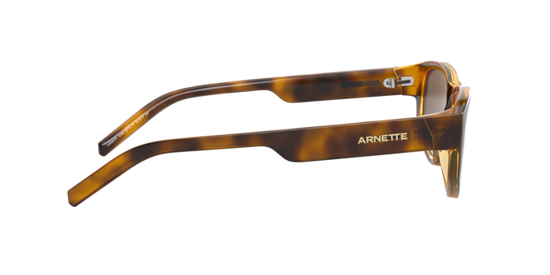 Arnette Daemon Sunglasses AN4269 267573