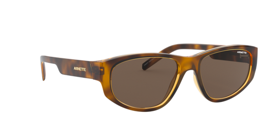 Arnette Daemon Sunglasses AN4269 267573