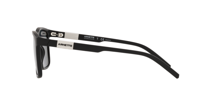 Arnette Dude Sunglasses AN4276 01/81