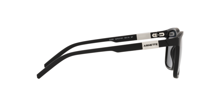 Arnette Dude Sunglasses AN4276 01/81