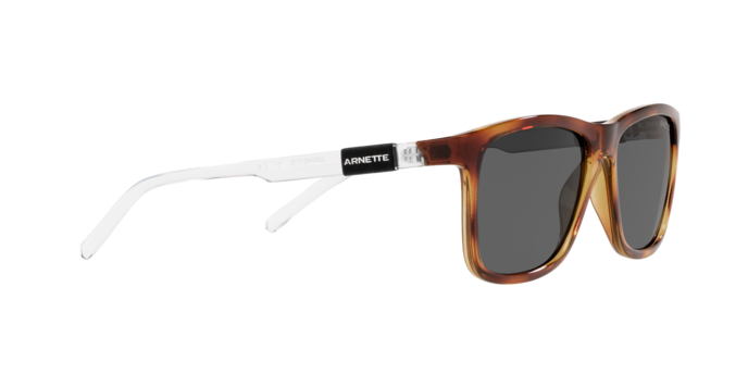 Arnette Dude Sunglasses AN4276 273287