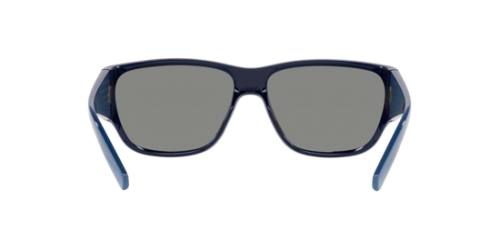 Arnette Wolflight Sunglasses AN4280 274122