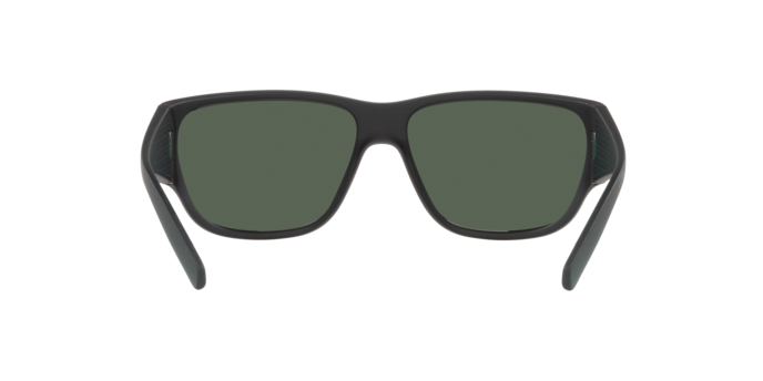 Arnette Wolflight Sunglasses AN4280 274771