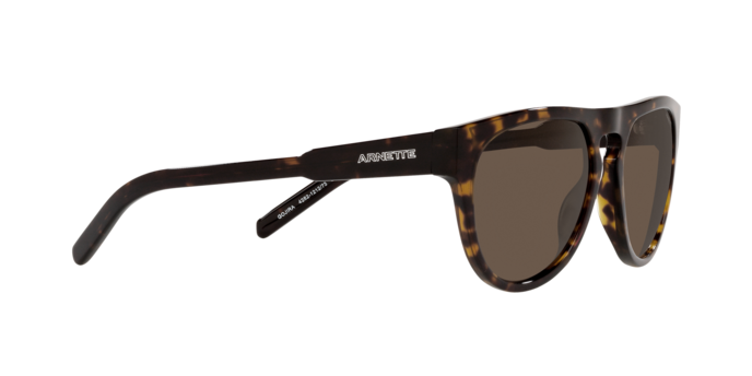 Arnette Gojira Sunglasses AN4282 121273
