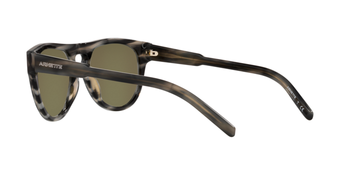 Arnette Gojira Sunglasses AN4282 121425