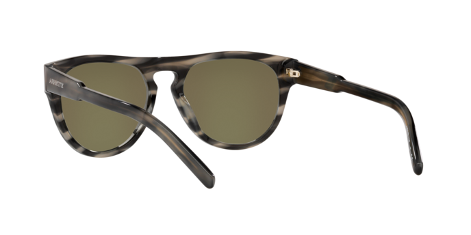 Arnette Gojira Sunglasses AN4282 121425