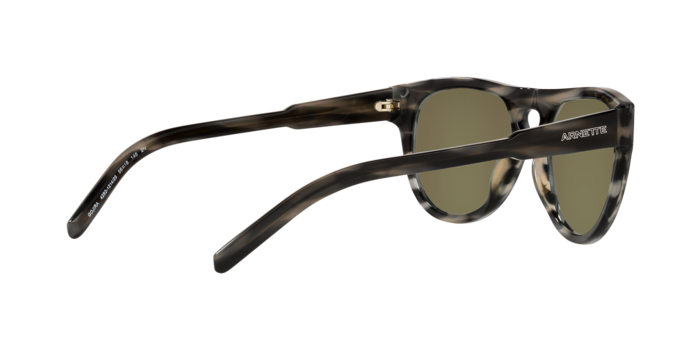 Arnette Gojira Sunglasses AN4282 121425