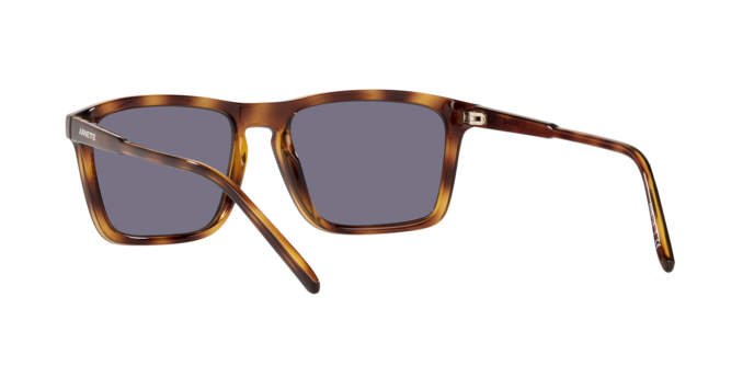 Arnette Shyguy Sunglasses AN4283 2675/2