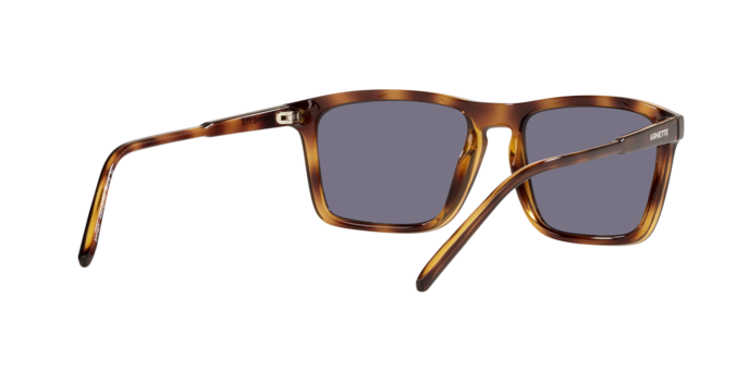 Arnette Shyguy Sunglasses AN4283 2675/2