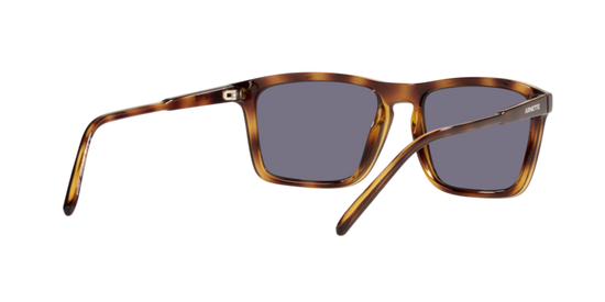 Arnette Shyguy Sunglasses AN4283 2675/2