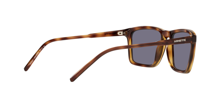 Arnette Shyguy Sunglasses AN4283 2675/2