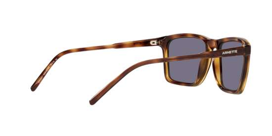 Arnette Shyguy Sunglasses AN4283 2675/2