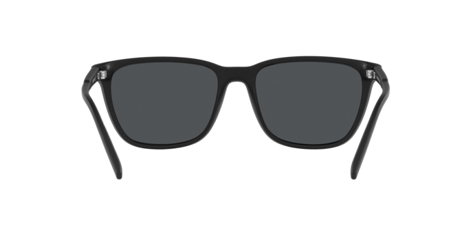 Arnette Cortex Sunglasses AN4291 275887