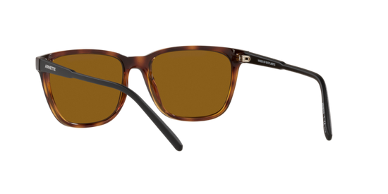 Arnette Cortex Sunglasses AN4291 277083