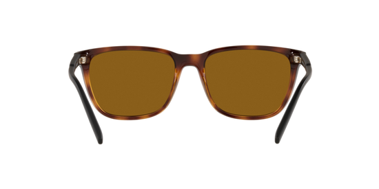 Arnette Cortex Sunglasses AN4291 277083