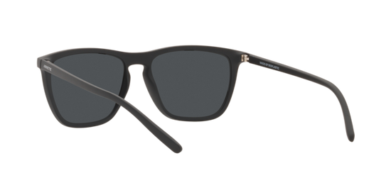 Arnette Fry Sunglasses AN4301 275887