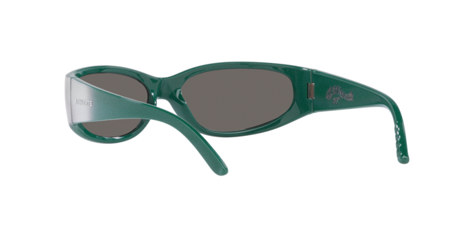 Arnette Catfish Sunglasses AN4302 28176G