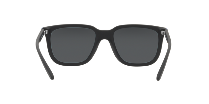 Arnette Plaka Sunglasses AN4306 275855