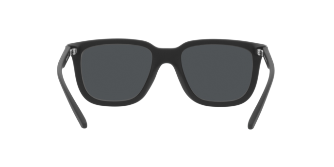 Arnette Plaka Sunglasses AN4306 275887