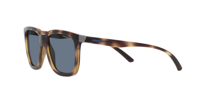 Arnette Plaka Sunglasses AN4306 27702V