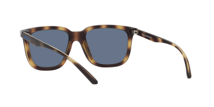 Arnette Plaka Sunglasses AN4306 27702V