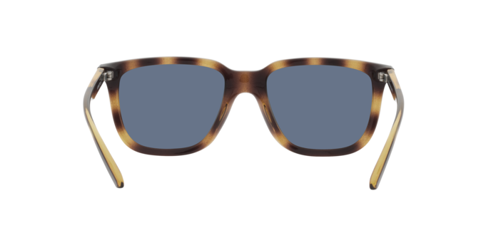 Arnette Plaka Sunglasses AN4306 27702V