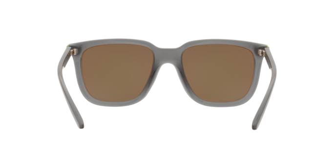 Arnette Plaka Sunglasses AN4306 28275A