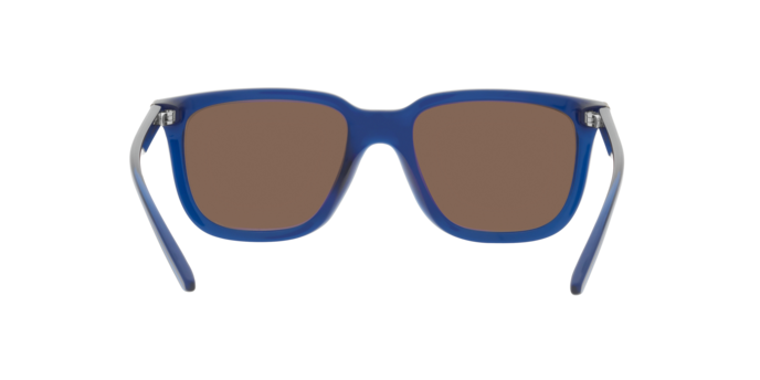 Arnette Plaka Sunglasses AN4306 284773