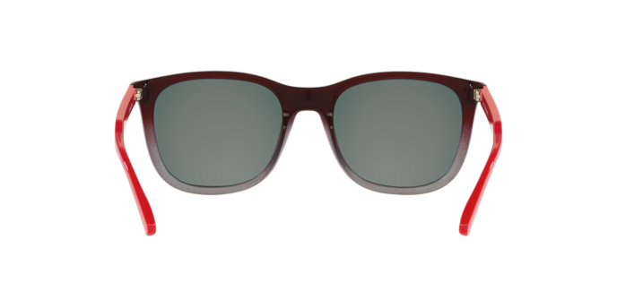 Arnette Woland Sunglasses AN4307 28386Q