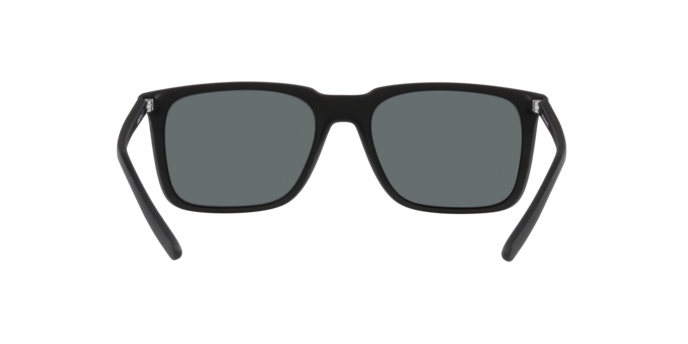 Arnette Trigon Sunglasses AN4314 275881