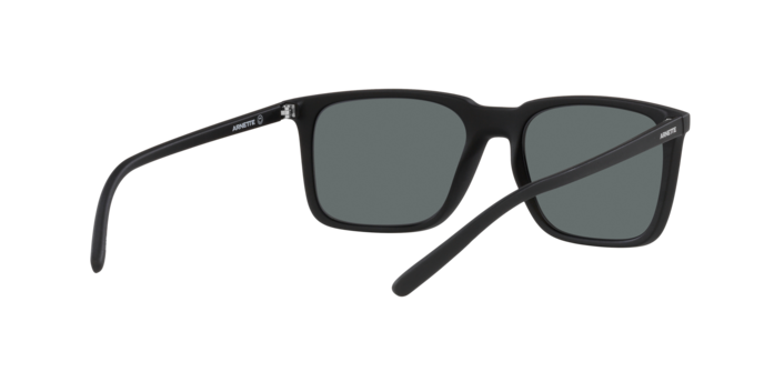 Arnette Trigon Sunglasses AN4314 275881