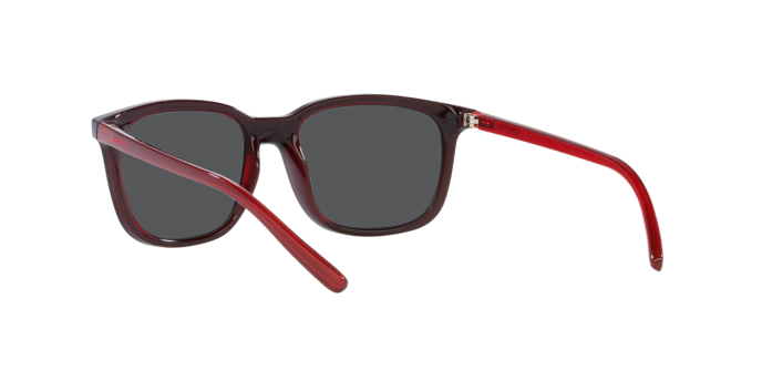 Arnette C'Roll Sunglasses AN4316 288055