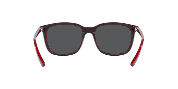 Arnette C'Roll Sunglasses AN4316 288055