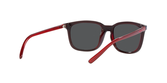 Arnette C'Roll Sunglasses AN4316 288055