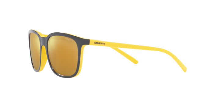 Arnette C'Roll Sunglasses AN4316 28815A