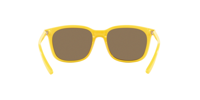 Arnette C'Roll Sunglasses AN4316 28815A