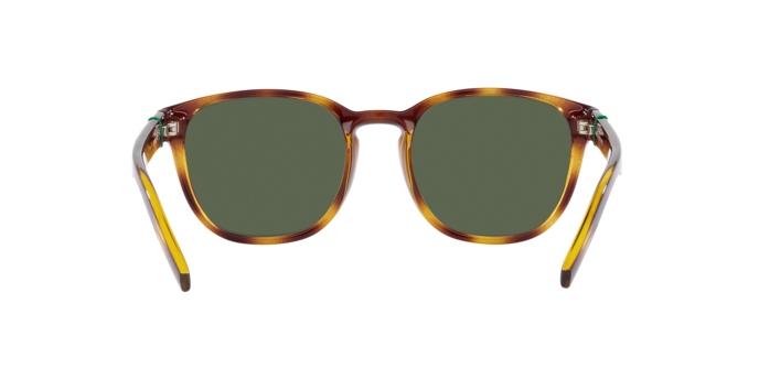 Arnette Barranco Sunglasses AN4319 27709A