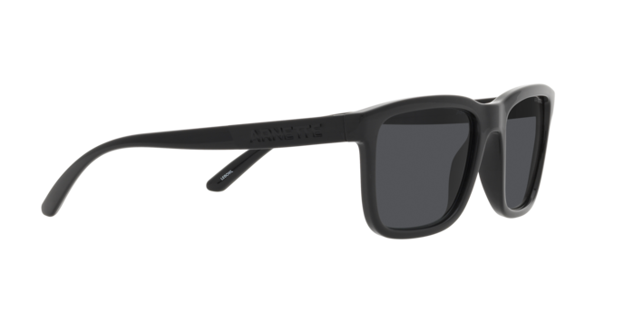 Arnette Lebowl Sunglasses AN4321 275387