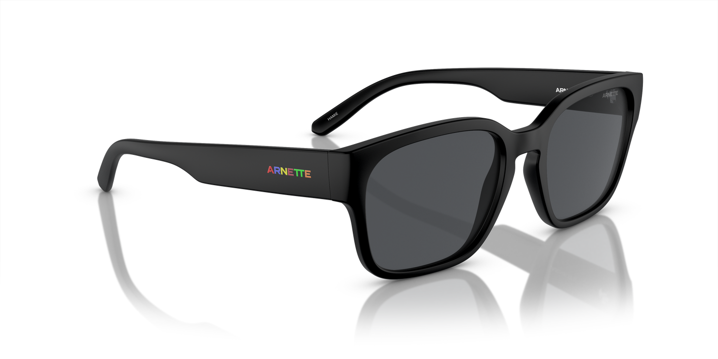 Arnette Hamie Sunglasses AN4325 290087