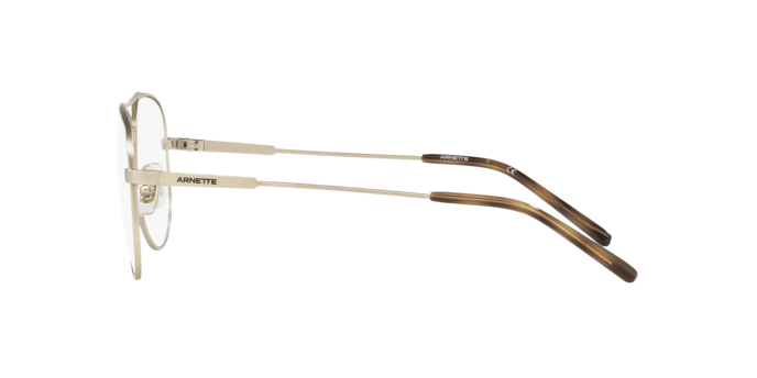 Arnette Wharf Eyeglasses AN6127 736