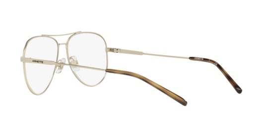 Arnette Wharf Eyeglasses AN6127 736