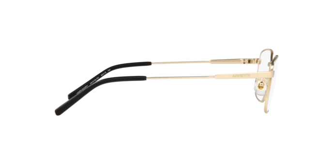 Arnette Loopy-Doopy Eyeglasses AN6133 751