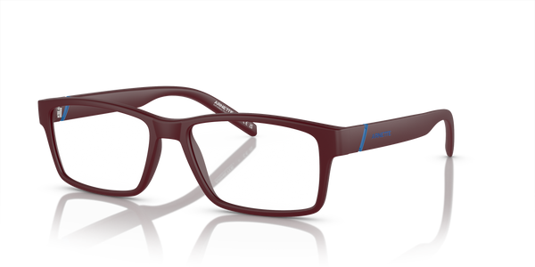 Arnette Leonardo AN7179 2905