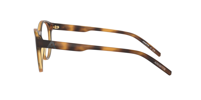 Arnette The Seeker Eyeglasses AN7182 2675