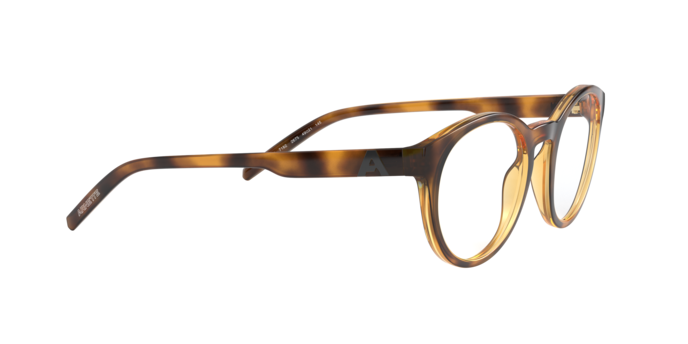 Arnette The Seeker Eyeglasses AN7182 2675