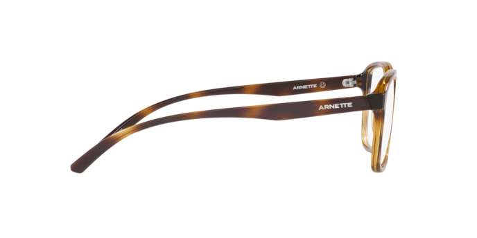 Arnette Marigny Eyeglasses AN7213 2770